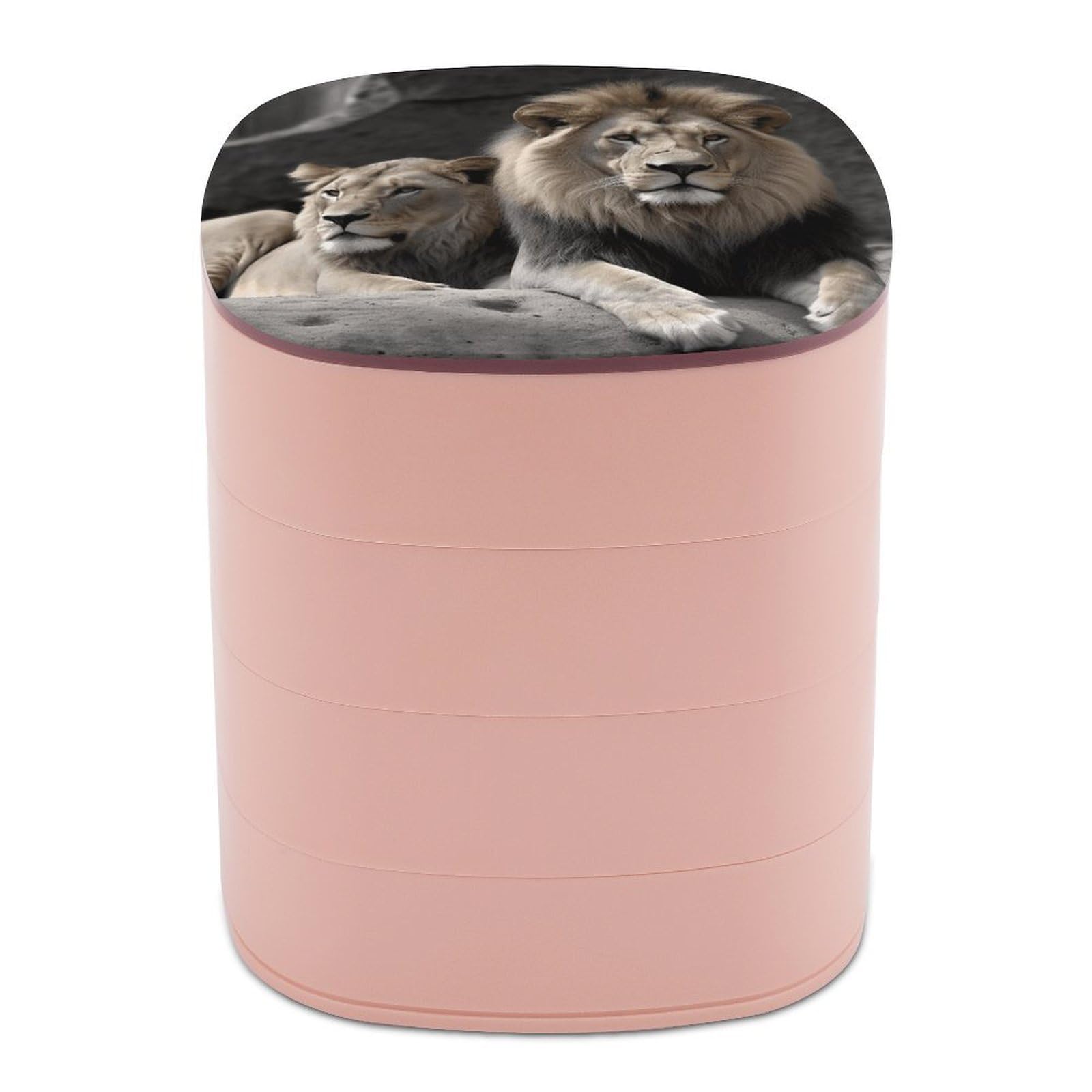 VstaDank Male And Female Lions Jewelry Organizer Small Travel Earring Storage Box with Mirror 4-Layer Rotating Travel Jewelry Tray Case with Lid Large Capacity Jewellery Holder Case