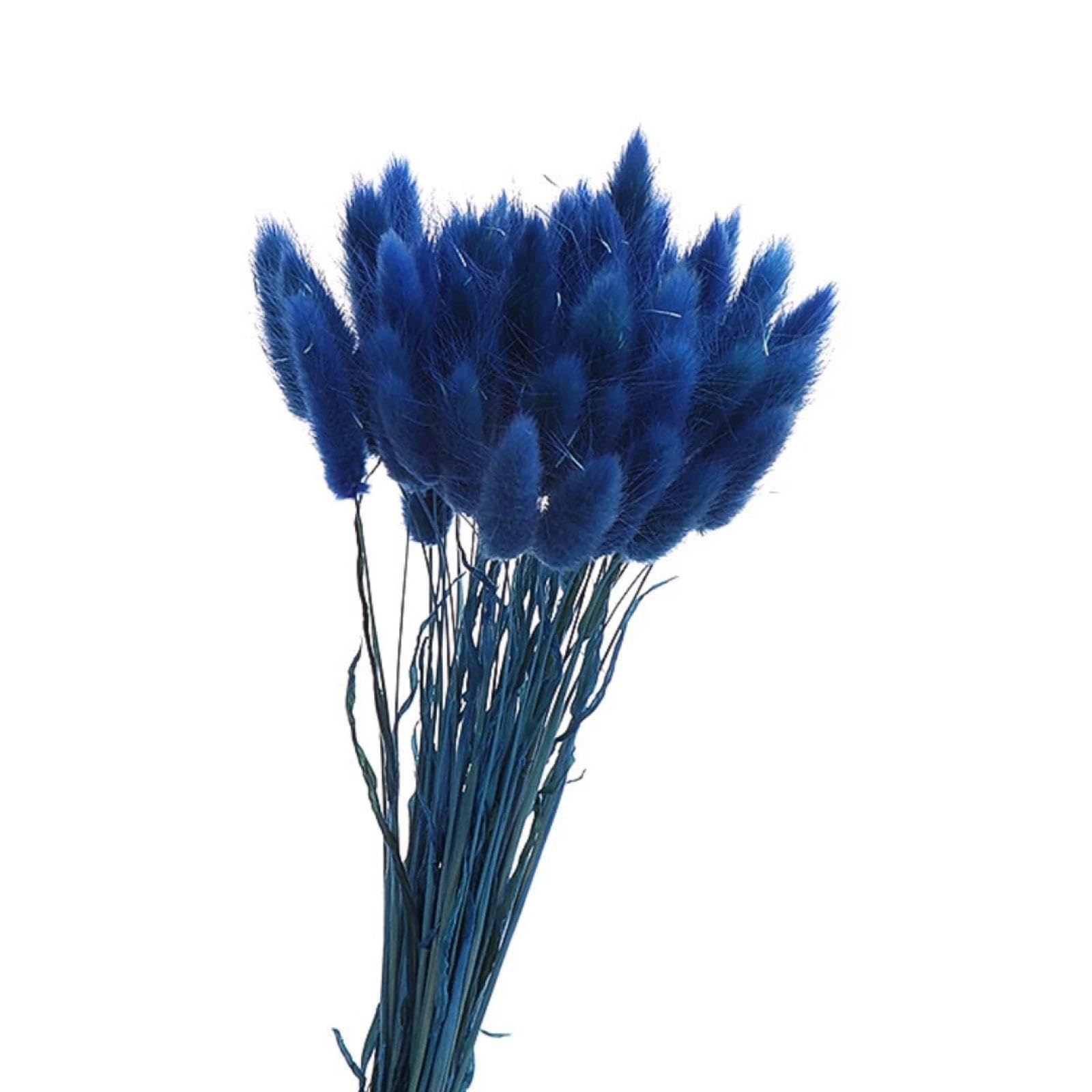 Bouquet de queues de lapin bleu accessoire photo et cadeau poétique