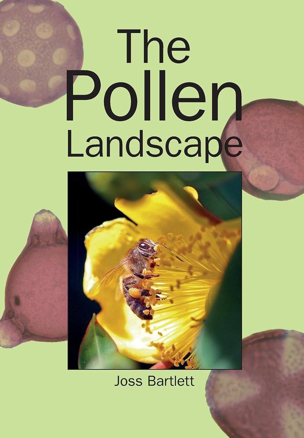 The Pollen Landscape