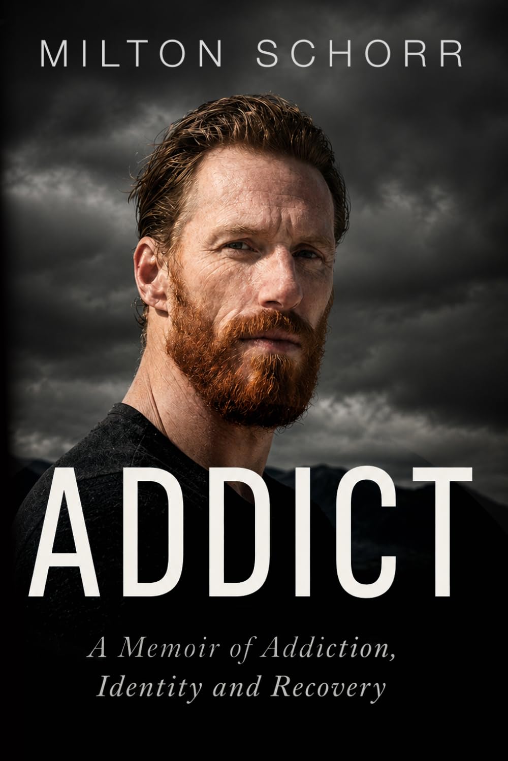 Addict: A Tale Of Drugs And Recovery