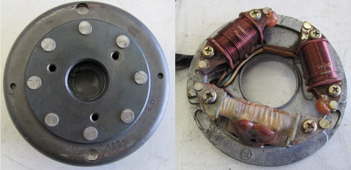 Powerdynamo (MZ-B) VAPE Ignition Stator System Compatible with 1971-81 TS 185 250 DC