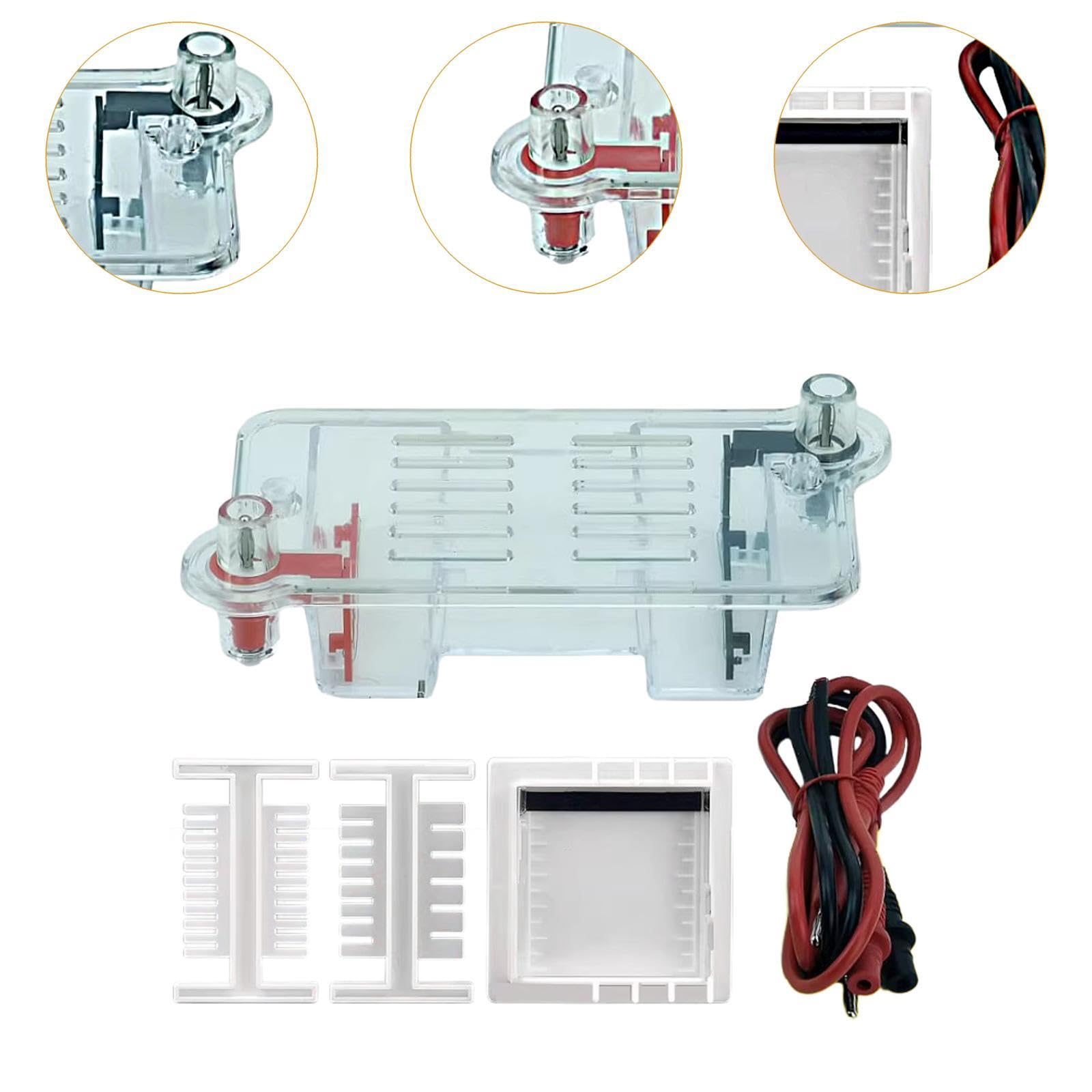 Elektrophorese Apparatur Set mit Gel Tank für Physik Experimente Gel Elektrophorese Rack aus PP Material Lehrmittel für Biologie Unterricht