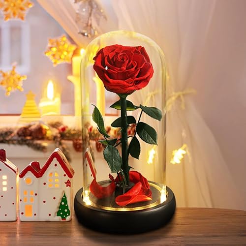 Valentines Day Gifts for Her,Valentines Flowers for Delivery Prime,Beauty and The Beast Rose in Glass Dome,Birthday Gifts for Women Her Mom Wife Girlfriend Grandma on Mother‘s Day Anniversary