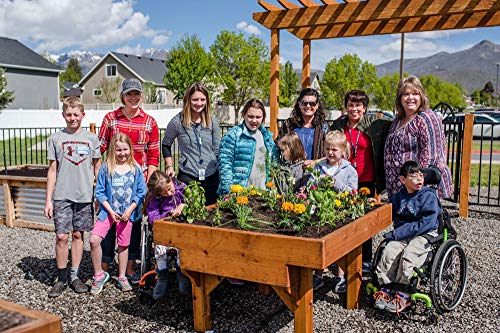 Wog Red Cedar Raised Garden Bed Ada Compliant For Use With Forward Facing Wheelchair Patented Drainage System For Indoor Or Outdoor Use 48" W X 45" L X 24" - 30" H #TOP2