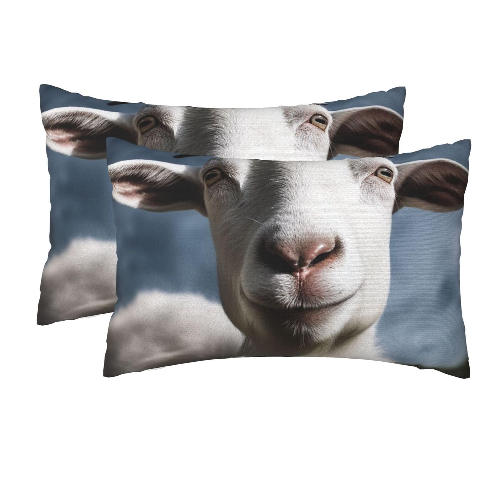 2 Pack Queen Pillow Cases with Hidden Zipper, Soft Breathable Pillow Covers for Hair and Skin, Goat Pillowcases 20"x30" Bed Pillow Protectors Cover for Sleeping Gifts