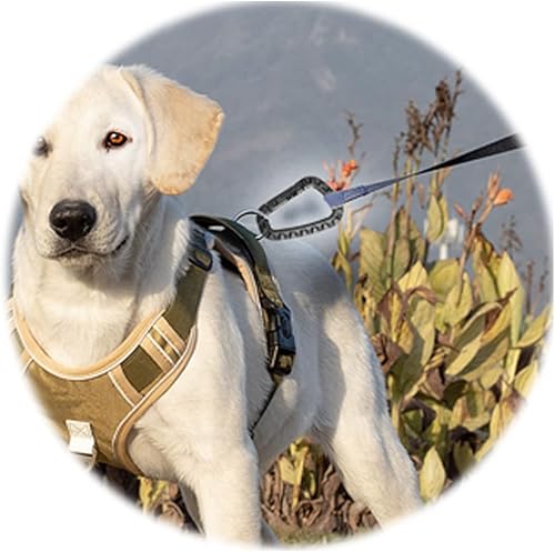 Miniatura 5 de Mosquetón táctico ligero y rápido para colgar con hebilla en D, clips de gancho de resorte para viajes al aire libre, paquete de 12