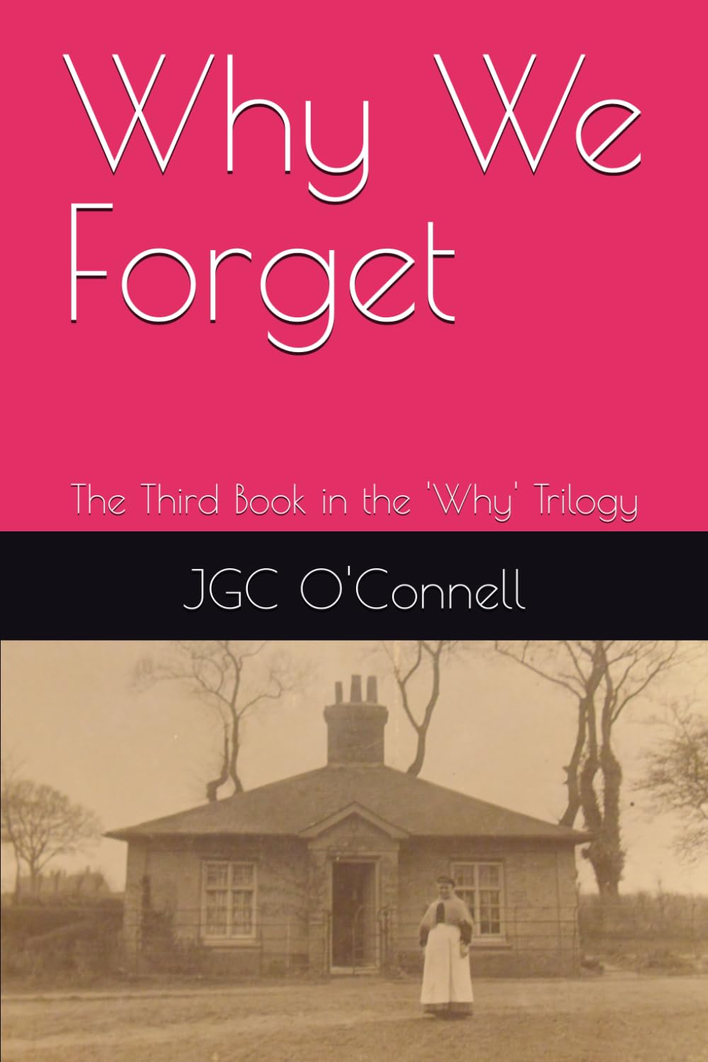 Why We Forget: The Third Book in the 'Why' Trilogy