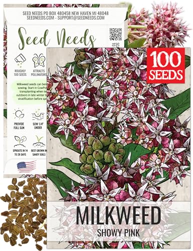 Seed Needs Showy Milkweed Seeds to Attract Monarch Butterflies 1 Pack