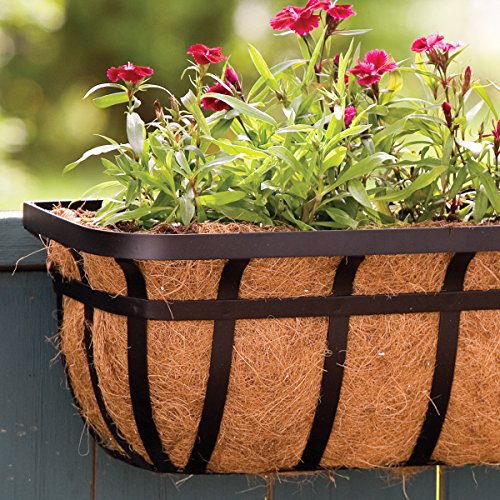 Panacea 88558 Flat Iron Window And Deck Planter, Black, 36-Inch #TOP1