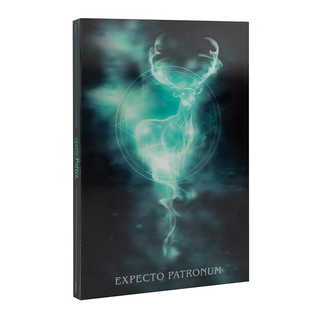 Grupo Erik Harry Potter Cuaderno A5 punteado - Regalos Harry Potter