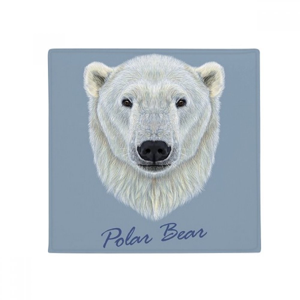 Ours Polaire tapis de sol antidérapant animal avec protection maximale pour salle de bain