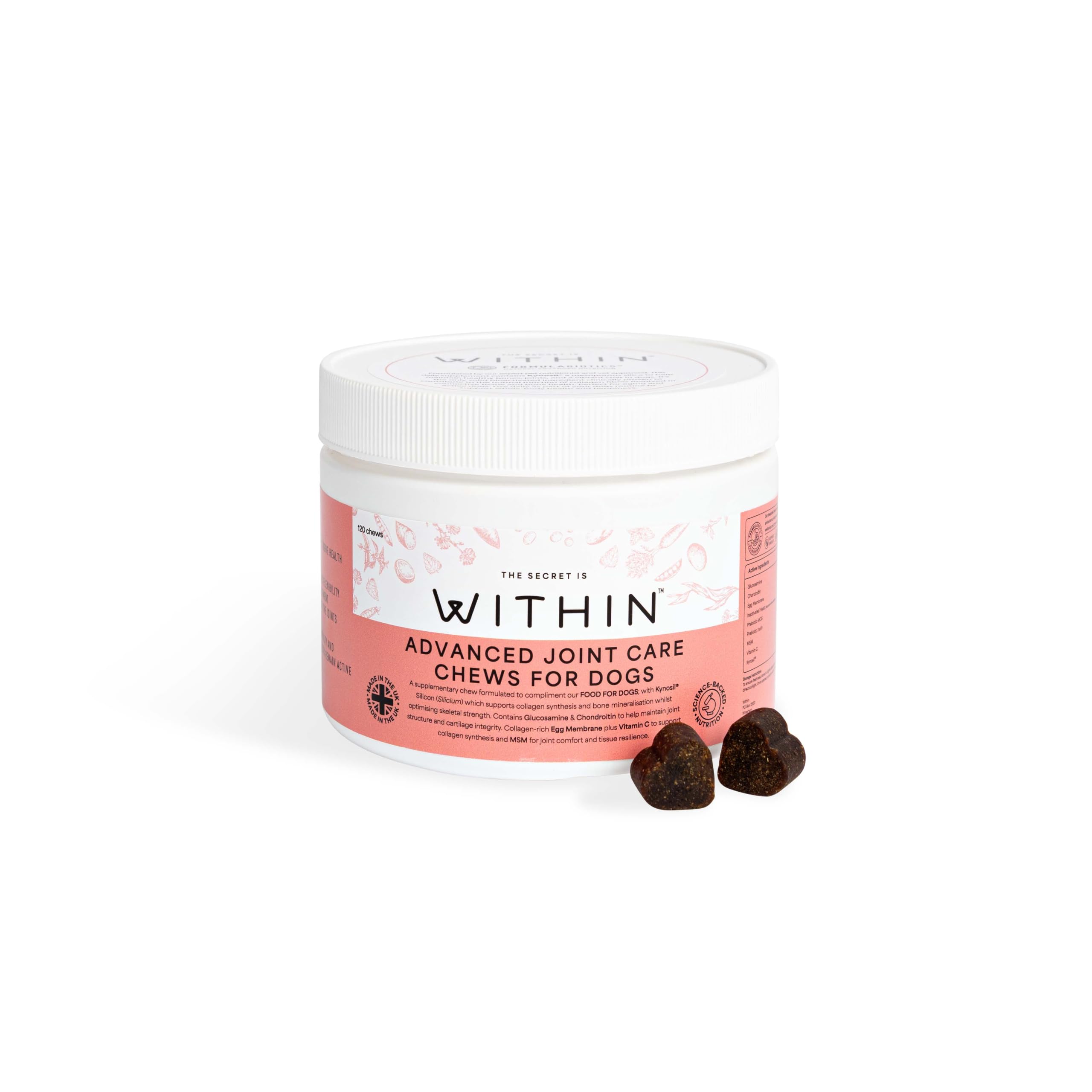 Within Advanced Joint Care Chews for Dogs | 120 Soft Chews | Glucosamine, Chondroitin & Kynosil® for Bone, Joint & Mobility Support | Vet Approved, Made in the UK