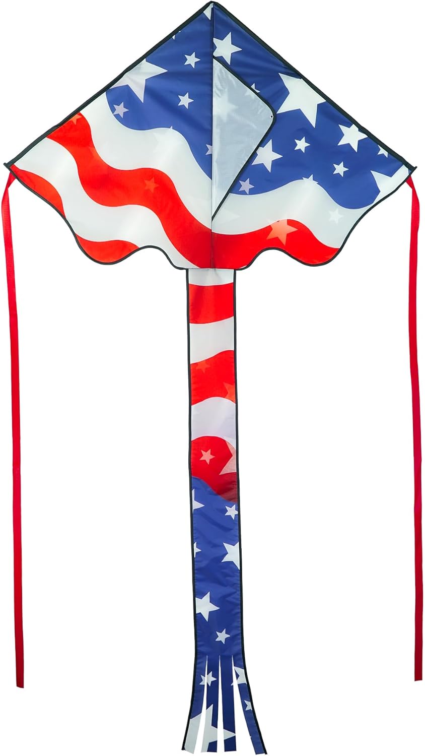 In the Breeze Printed Graphic Fly-Hi Kite, Single Line Kite, Ripstop Fabric, Line and Bag Included
