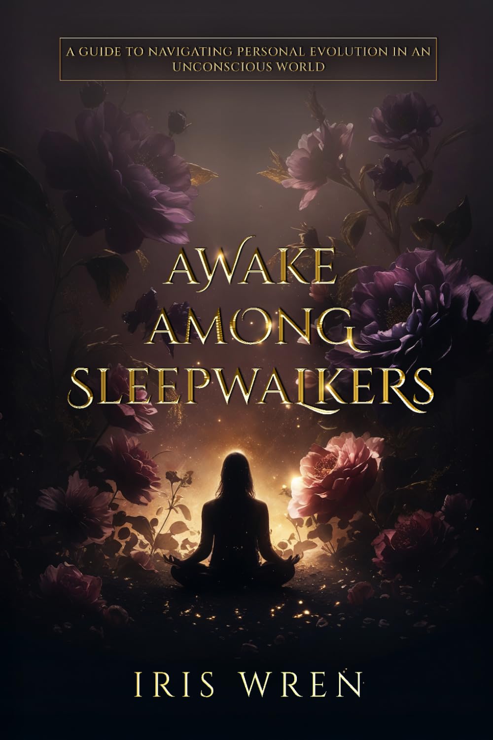 Awake Among Sleepwalkers: A Guide To Navigating Personal Evolution In An Unconscious World