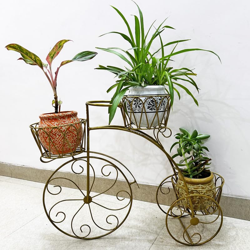 Decorscent Cycle shape Flower Plant stand for indoor/outdoor/balcony/corner in golden colour 1 pc (B0CWVFH7K6) Amazon Price History, Amazon Price Tracker