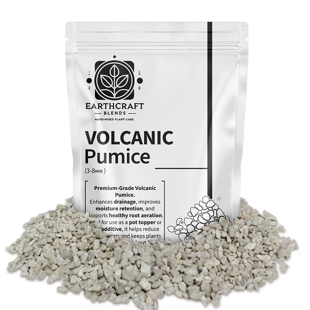 Volcanic Pumice for Plants – Natural Plant Pot Topper to Stop Fungus Gnats, Improve Drainage & Decorate Soil – Ideal for Cacti, Succulents, Bonsai & Houseplants (1 Litre Resealable Bag)