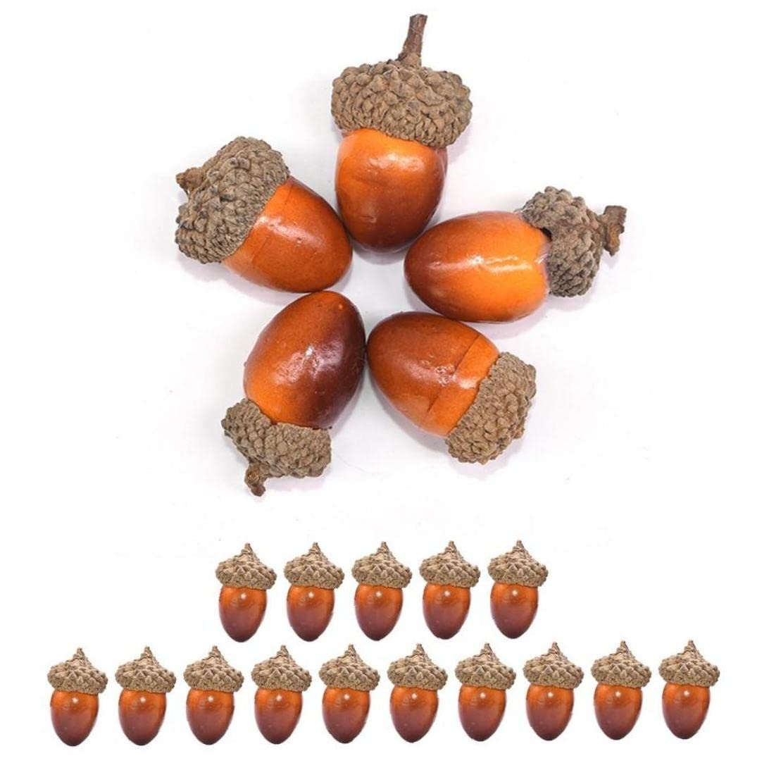 Amazon.co.jp: 人工ドングリ どんぐり 果物模型 食品サンプル フルーツ