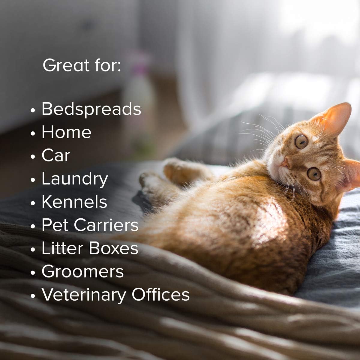 Earth Rated Pet Stain and Odor Remover, Lavender-Scented Pet Cleaner for Dog and Cat Urine, 32 fl oz Spray Bottle : Pet Supplies