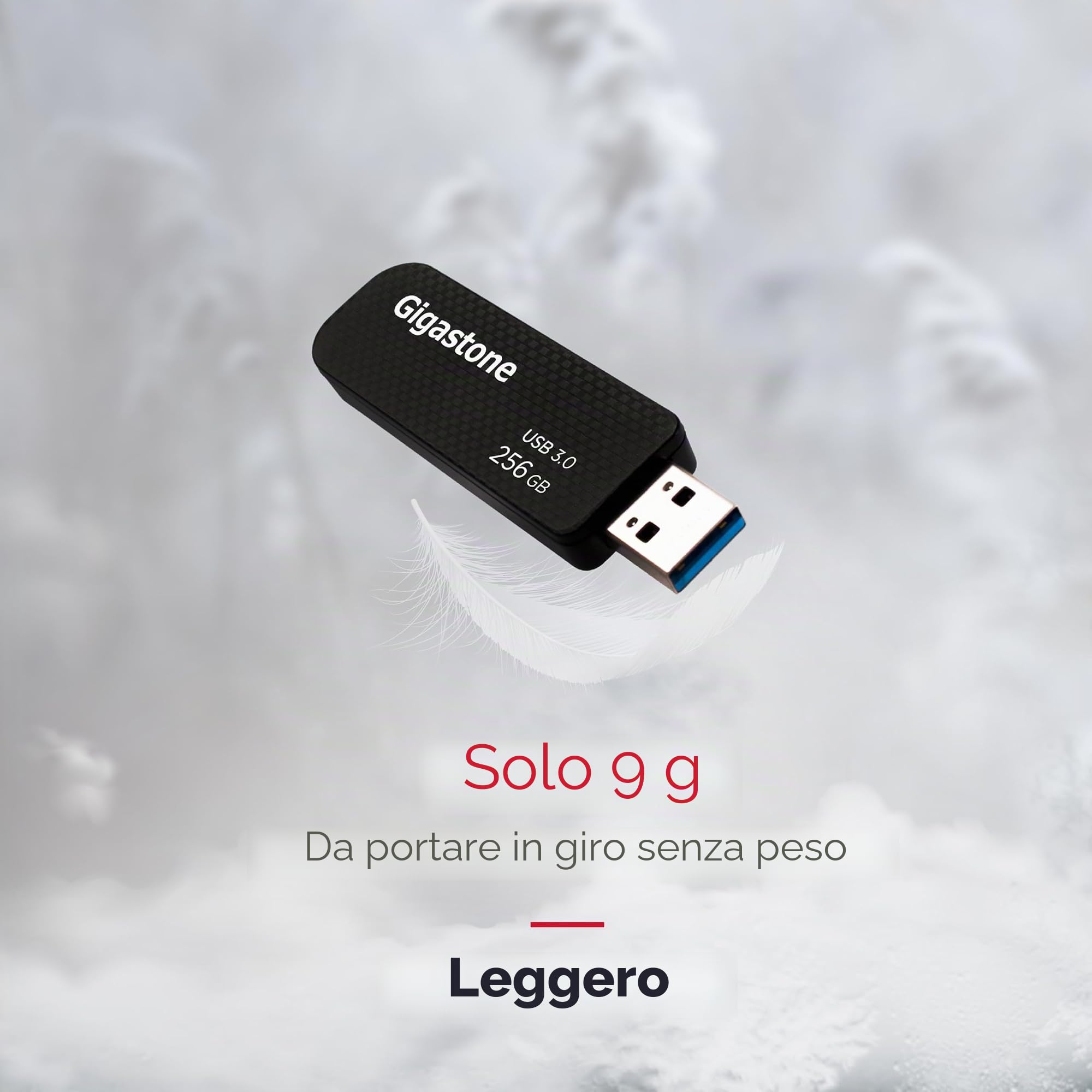 Gigastone Chiavetta USB 256 GB Set da 2, Z30 USB 3.2 Gen 1 Professional Serie, Senza cappuccio con design retrattile, compatibile con interfaccia USB 2.0 / USB 3.0 / USB 3.1