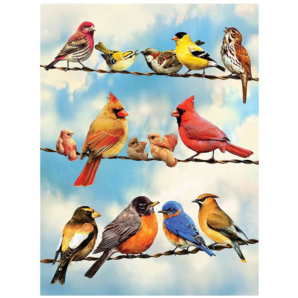 Broderie Point De Croix Diamant 80x220 Kit Mosaïque Oiseau 5D