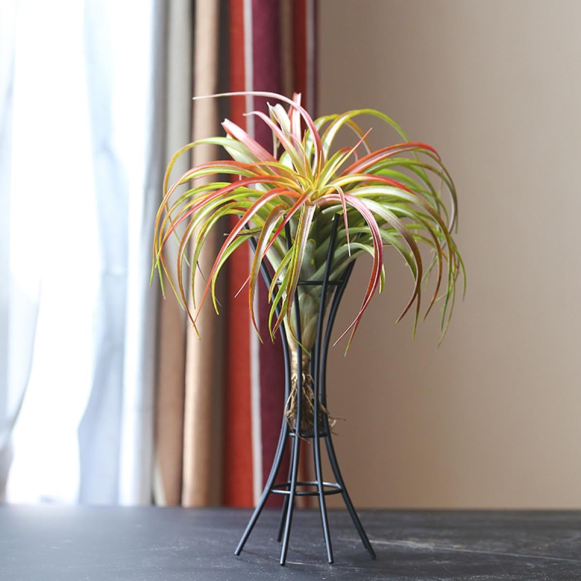 Housoutil Air Plant Holder Iron Display Stand for Garden Outdoor Use Black image 5
