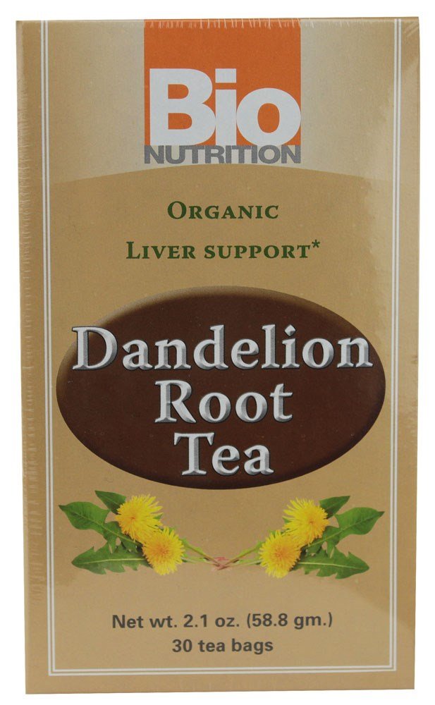 Stegosaurus dinopals, maceta decoración planta soporte