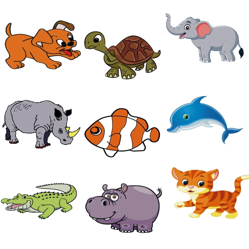 Magiapym Hayvanat bahçesi, video açıklamalı, kolay anlaşılır koleksiyon  parçaları, sihir numaraları : Amazon.com.tr: Oyuncak