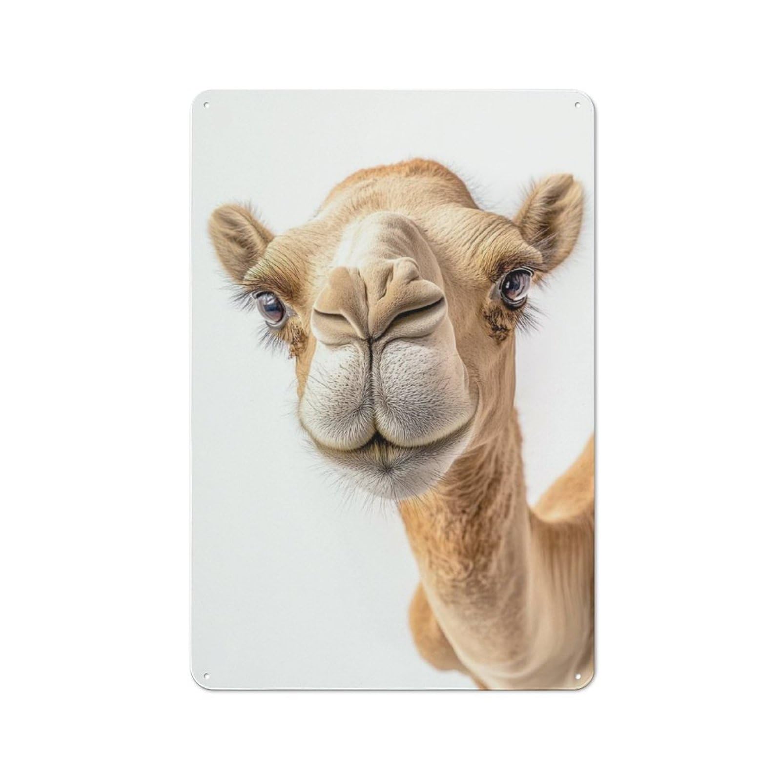 Junmoney Camel Selfie Tin Sign 30X20cm With For Garage Wall, Retro-Style Decor, For Vintage Wall Decor Fans, For Metal Sign Collectors