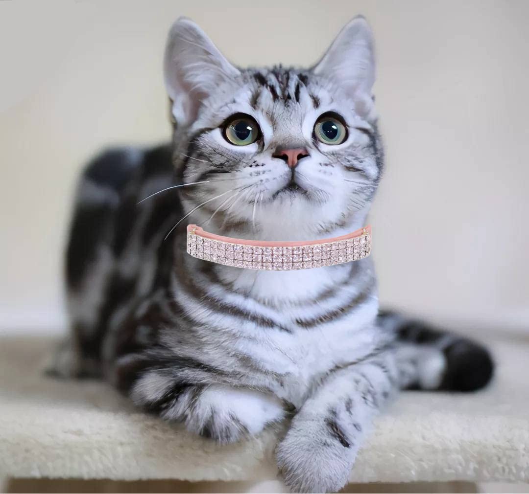 THAIN Hundehalsband mit Strasssteinen, weich, samtig, sicher, verstellbar, mit Glöckchen, 20,3–27,9 cm, für kleine Hunde und Katzen (Rosa + Schwarz)