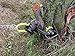 BRUSH GRUBBER Extreme Plus