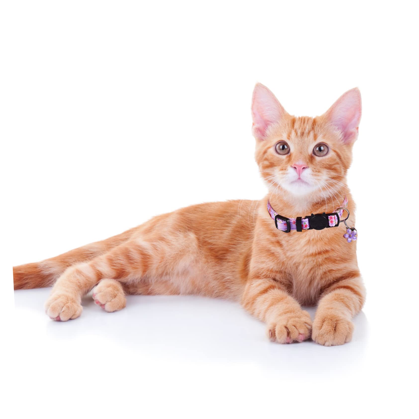 Happyyami 12pezzi Collare Per Gatti Con Decorazione Floreale Da Comfort e Stile Per Gattini e Gatti Adulti Per Occasioni Speciali e Uso Quotidiano