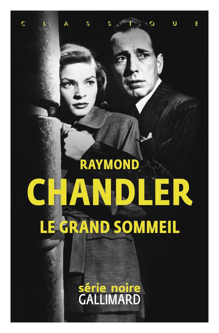 Le grand sommeil: Une enquête du privé Philip Marlowe
