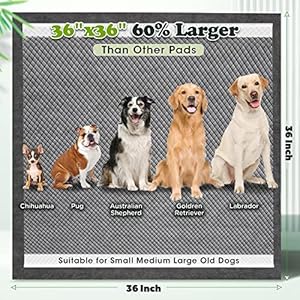 Gimars Upgrade Odor Control 4XL 36x36 Extra Large Thicken 9 Layers Extra Absorbent Charcoal Pee Pads for Dogs - Leak Proof Dog Training Pads Quick Dry - 30 Counts Gimars Upgrade Odor Control 4XL 36×36 Extra Large Thicken 9 Layers Extra Absorbent Charcoal Pee Pads for Dogs Leak Proof Dog Training Pads Quick Dry 30 Counts