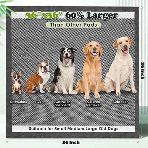 Gimars-Upgrade-Odor-Control-4XL-36×36-Extra-Large-Thicken-9-Layers-Extra-Absorbent-Charcoal-Pee-Pads-for-Dogs-Leak-Proof-Dog-Training-Pads-Quick-Dry-30-Counts Gimars Upgrade Odor Control 4XL 36×36 Extra Large Thicken 9 Layers Extra Absorbent Charcoal Pee Pads for Dogs Leak Proof Dog Training Pads Quick Dry 30 Counts
