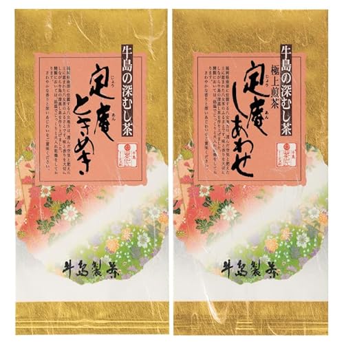 [新茶][ギフト対応可能]2026年新茶をお届け!! 極上八女深蒸し煎茶セット 定庵ときめき100g×1本 定庵しあわせ100g×1本