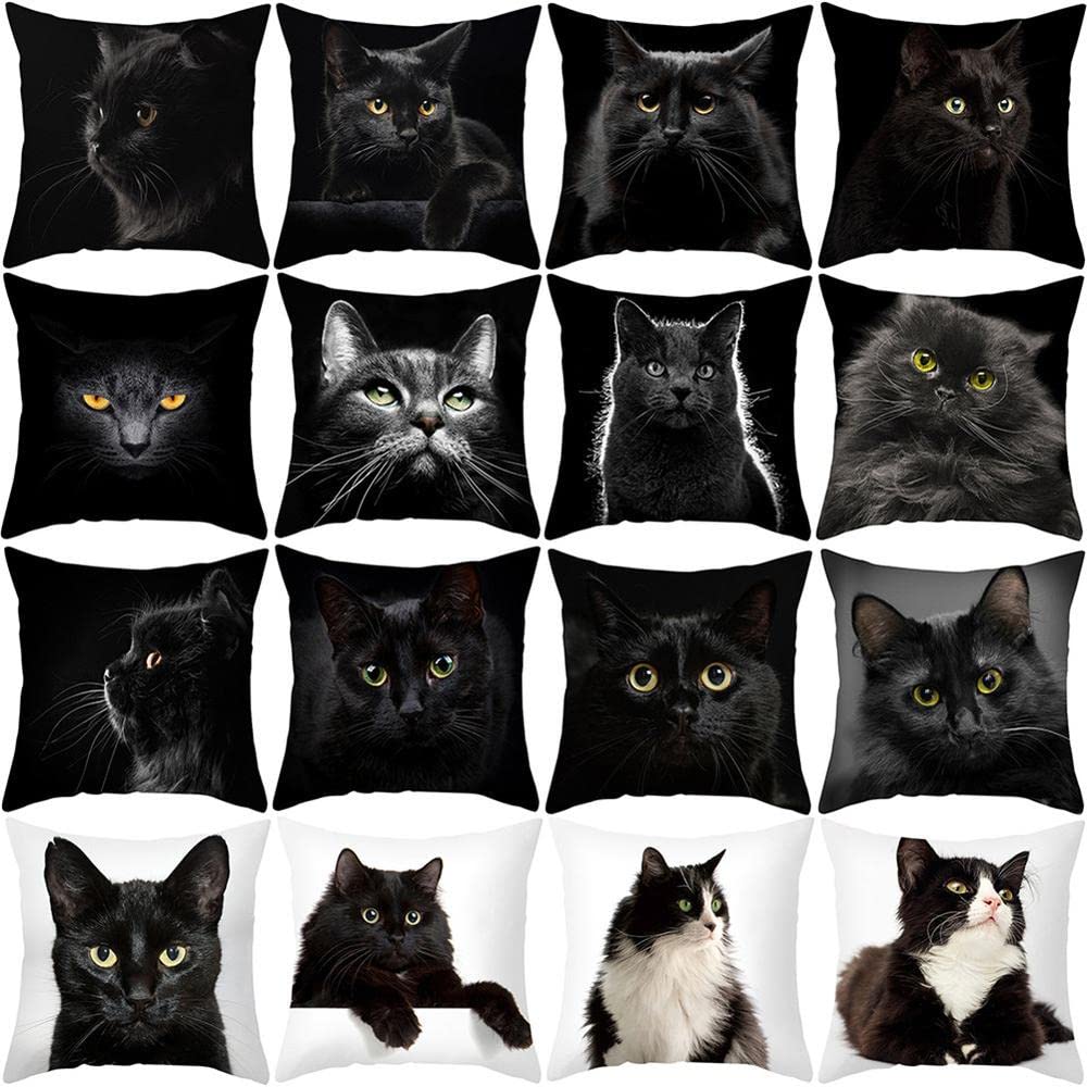 Federa per cuscino con stampa di gatto, decorazione per la casa