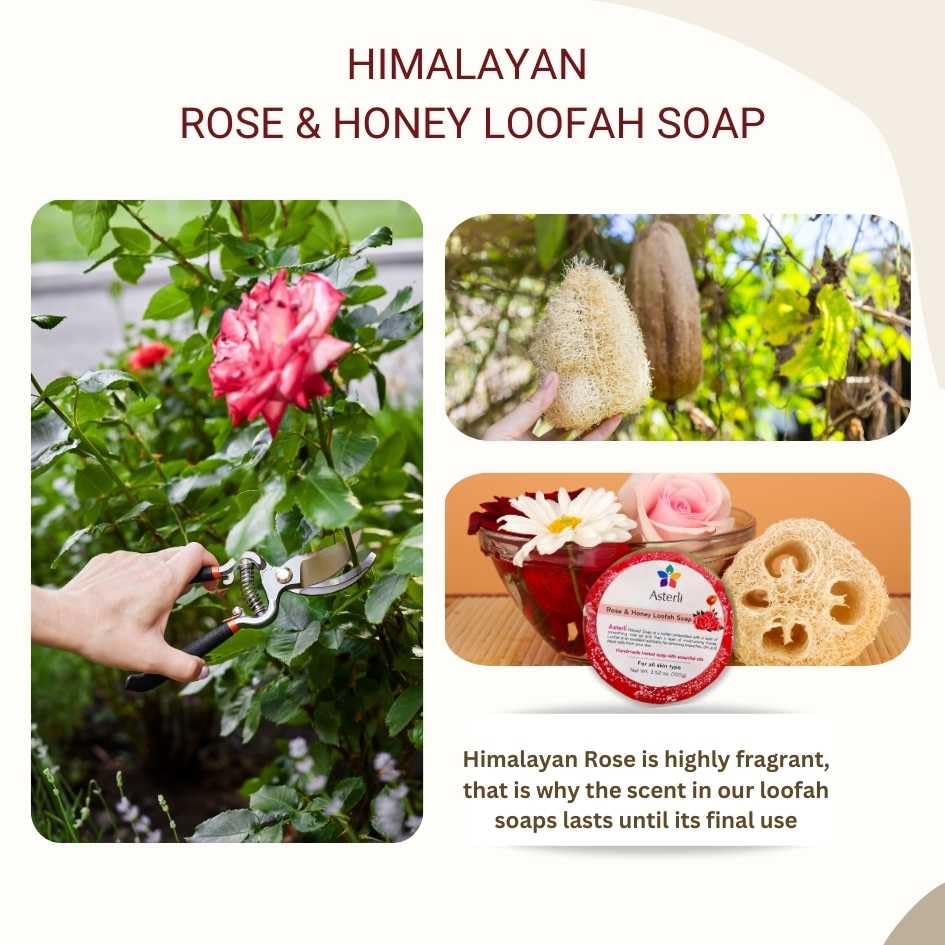 Miniatura 5 de Set de cuidado natural de la piel 5 en 1 caja de regalo para mujer  Belleza y cuidado personal  Cuidado personal  Cuidado de la piel y el cuerpo