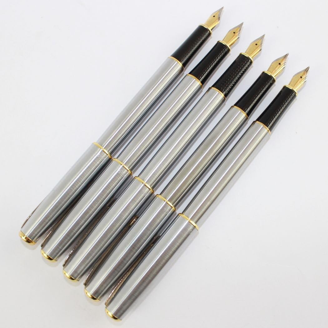 Gullor 10 PCS Medium Fountain Pen Pure Silver