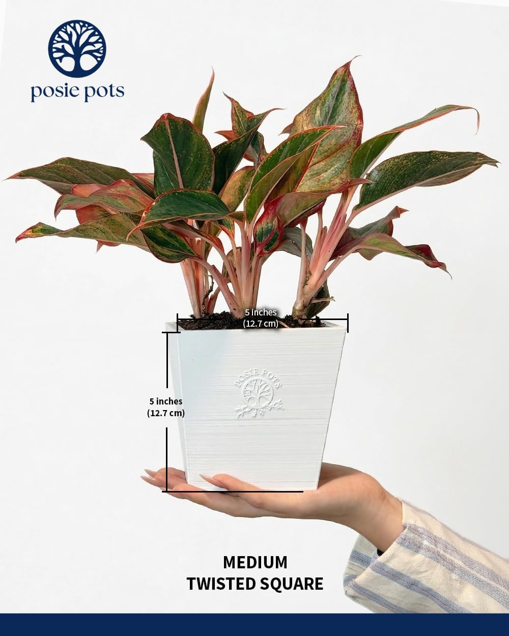 Posie Pot Medium Twisted Square - Self Watering Planter 5x5 Inch - Indoor Plant Pot with 30 Day Reservoir - 3D Printed Bioplastic - No Guilt Plant Care - Made in USA, White