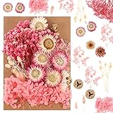 💐DISEÑO ÚNICO - las plantas, los colores y las formas reales secados prensados están bien conservados; Las formas y colores de las flores están bien conservados