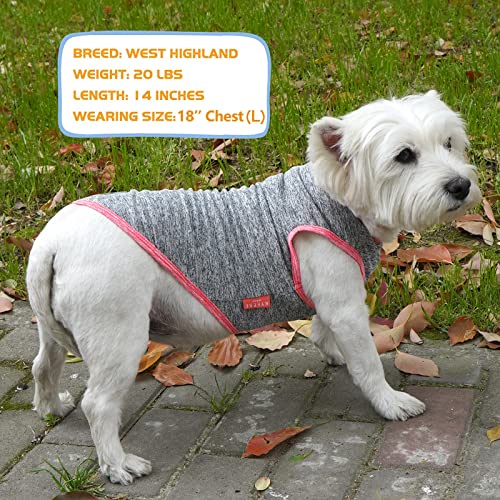 Kyeese 2 Pack Sun Protection Dog Shirts Quick Dry Soft Stretchy Dog T-Shirts With Reflective Label Tank Top Sleeveless Vest Dog Clothes For Small Dogs, Coral Red+Grey, M #TOP5