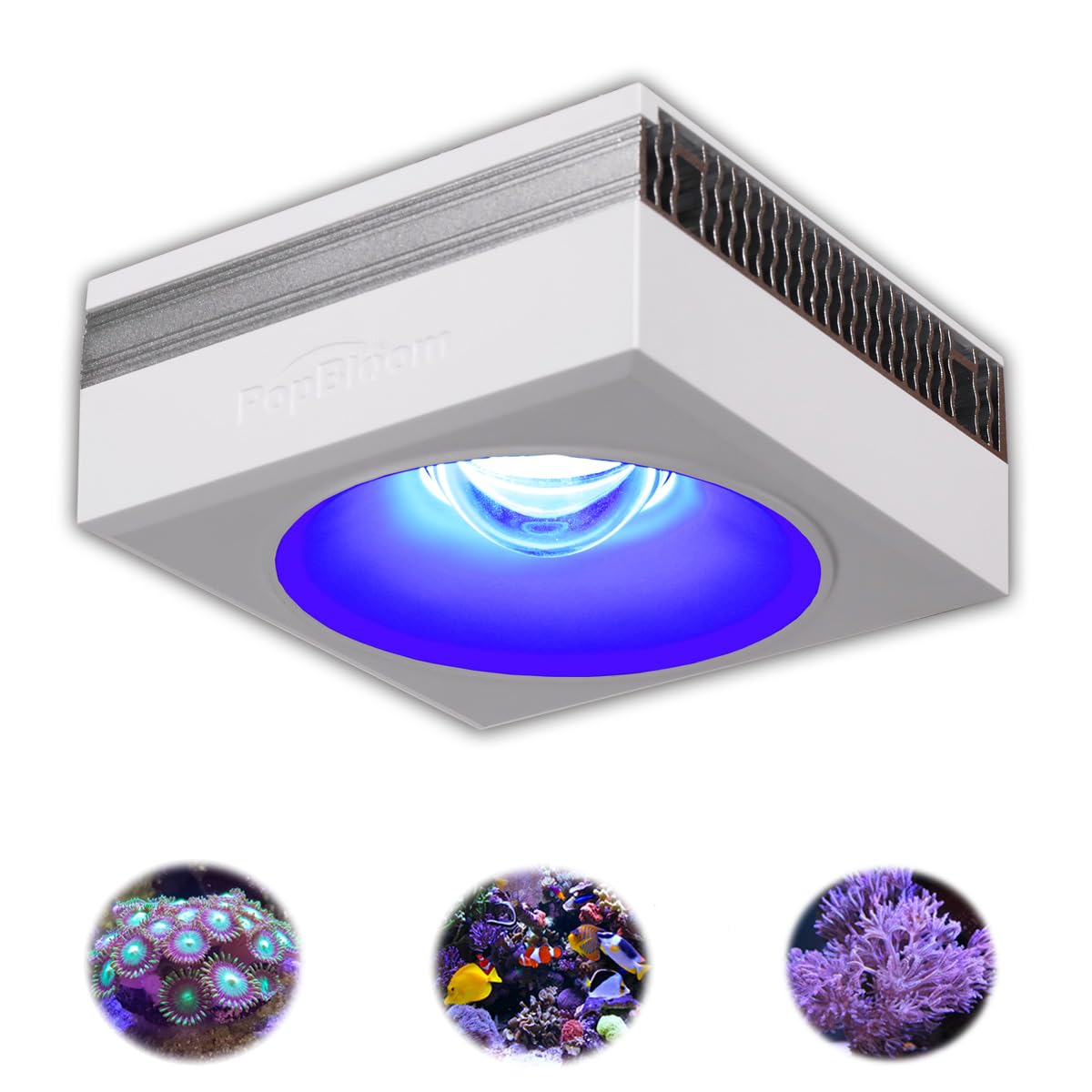 PopBloom RL90 LED Aquarium Light, Full Spectrum Aquarium Light for 16-24Inch Marine and Saltwater Tanks, Fish Tank Light with Wired Timer and Adjustable Brackets