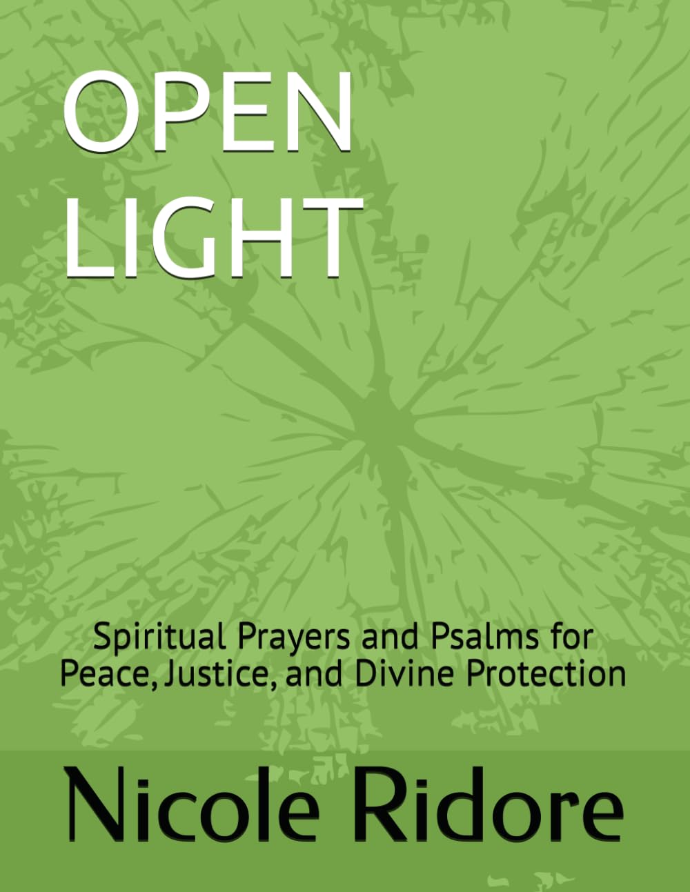 OPEN LIGHT: Spiritual Prayers and Psalms for Peace, Justice, and Divine Protection