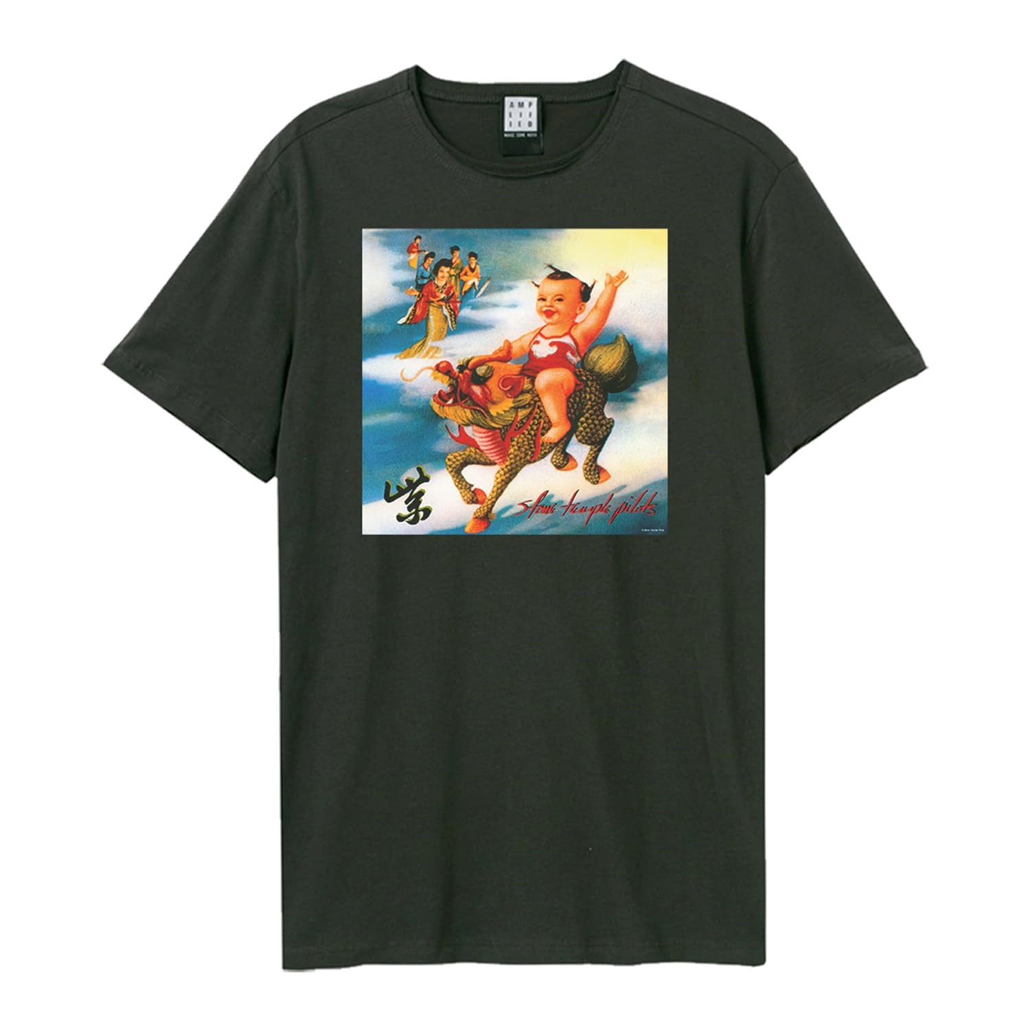 Amplified - Purple Album Cover T-Shirt dla mężczyzn/kobiet Unisex (S) (węgiel drzewny), ciemny grafit (Holzkohle), S