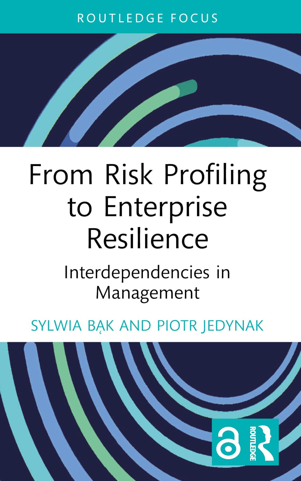 From Risk Profiling to Enterprise Resilience: Interdependencies in Management (Routledge Focus on Business and Management)