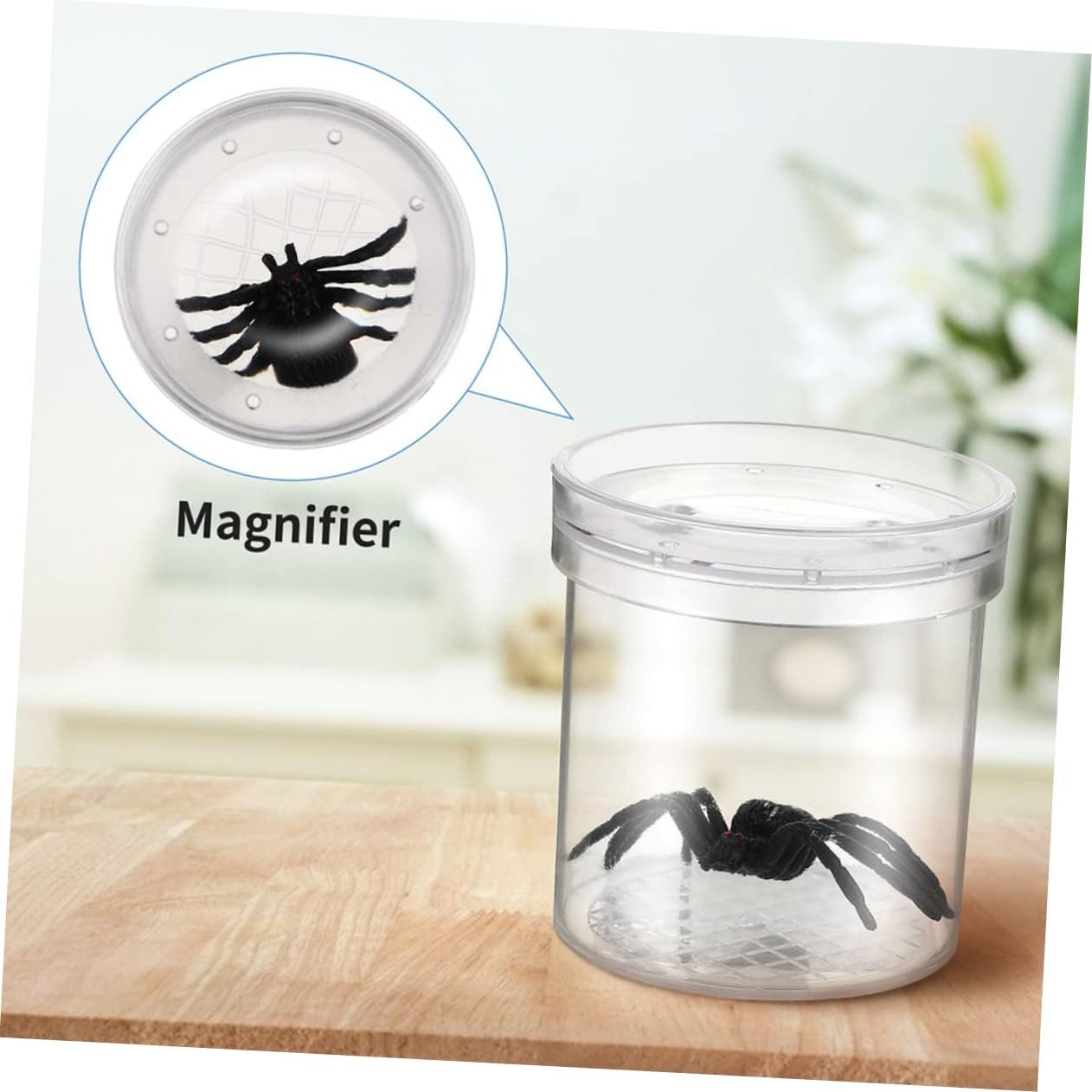 Vaguelly 10pcs Terrarium Catcher Viewer Boys and Girls Magnifying Box Display Case Observation Cup