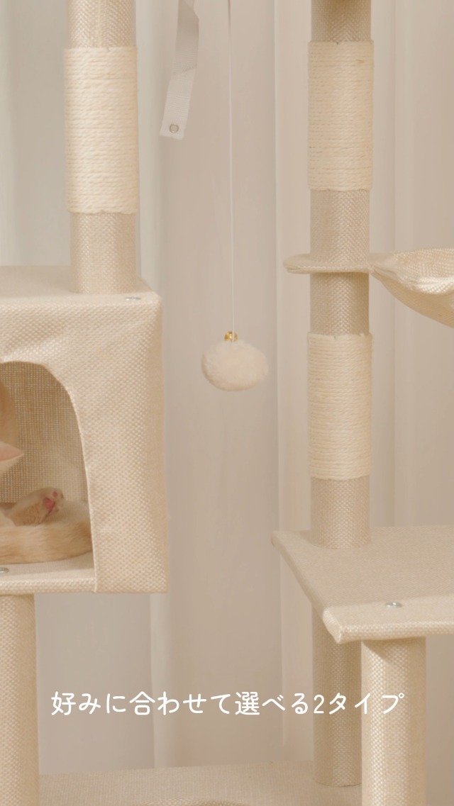 Amazon.co.jp: AIFY キャットタワー 大型猫用 多頭飼い 省スペース