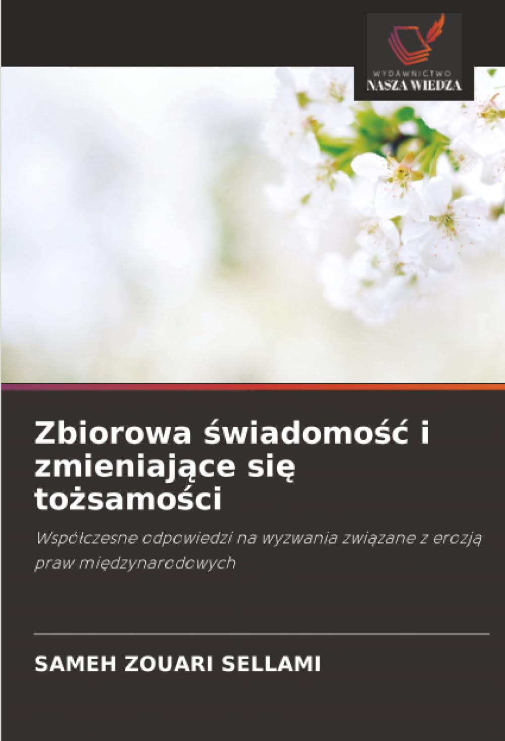 Zbiorowa świadomośc i zmieniające się tożsamości: Wspó¿czesne odpowiedzi na wyzwania zwi¿zane z erozj¿ praw mi¿dzynarodowych