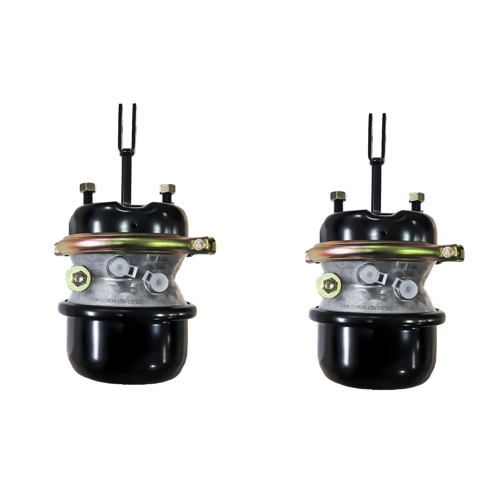 THOMAS CAMPBELL x ELEMENT クルーザー 66cm THOMAS CAMPBELL x