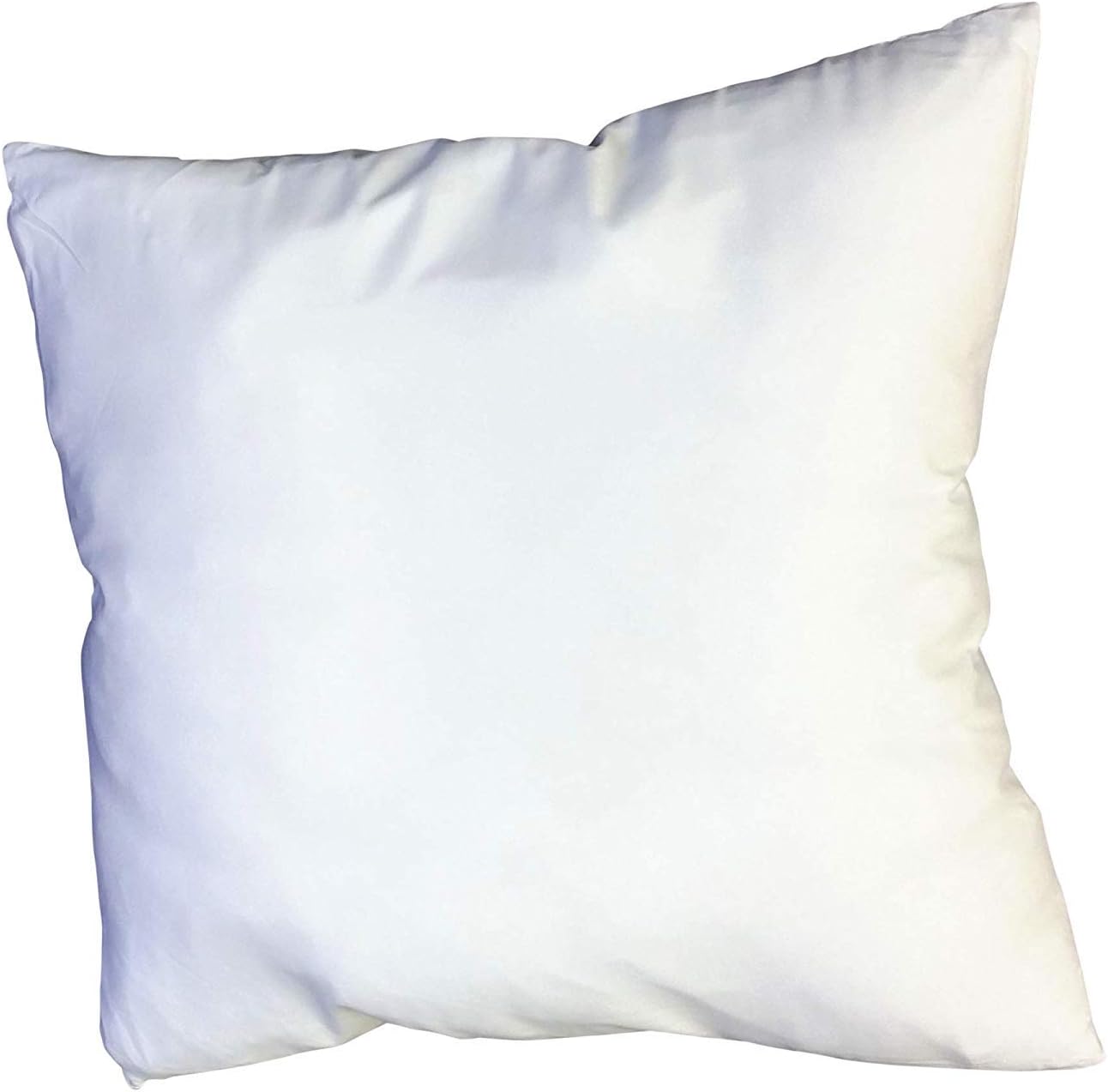 Web Linens Inc 17"x17" - Set of 2 - Pillow Inserts - w/Pillow Protectors - 100 GSM Microfiber Cover - Exclusively by Blowout Bedding RN# 142035 RN# 142035